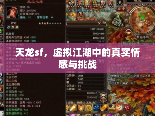 天龙sf，虚拟江湖中的真实情感与挑战