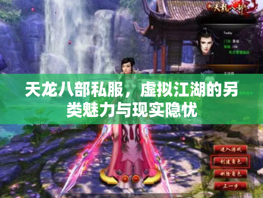 天龙八部私服，虚拟江湖的另类魅力与现实隐忧