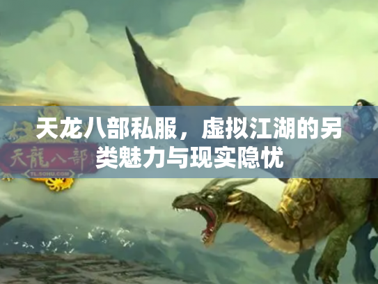 天龙八部私服，虚拟江湖的另类魅力与现实隐忧