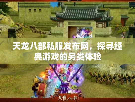 天龙八部私服发布网，探寻经典游戏的另类体验