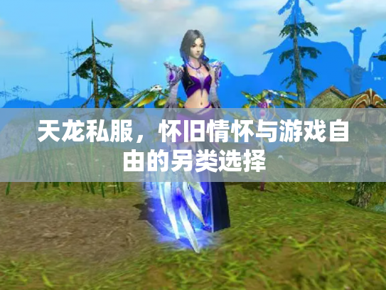 天龙私服，怀旧情怀与游戏自由的另类选择