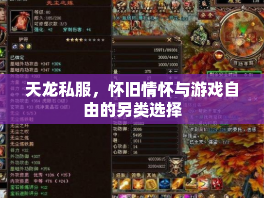 天龙私服，怀旧情怀与游戏自由的另类选择