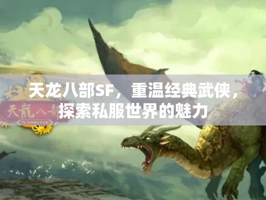 天龙八部SF，重温经典武侠，探索私服世界的魅力