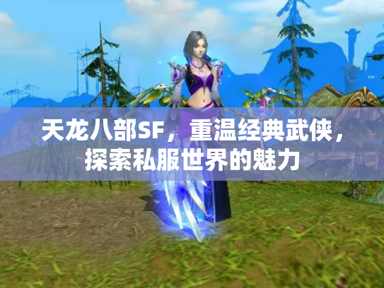 天龙八部SF，重温经典武侠，探索私服世界的魅力