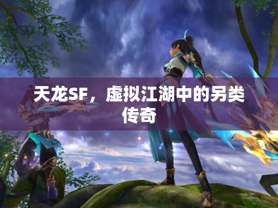 天龙SF，虚拟江湖中的另类传奇