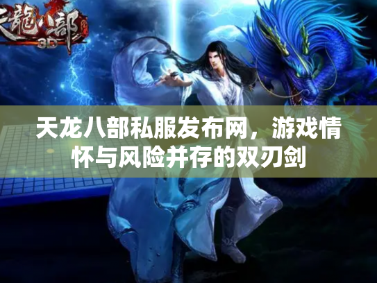 天龙八部私服发布网，游戏情怀与风险并存的双刃剑