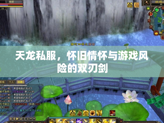 天龙私服，怀旧情怀与游戏风险的双刃剑
