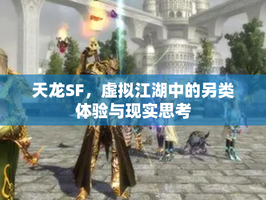 天龙SF，虚拟江湖中的另类体验与现实思考