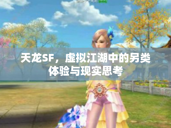 天龙SF，虚拟江湖中的另类体验与现实思考