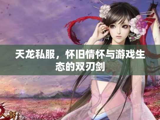 天龙私服，怀旧情怀与游戏生态的双刃剑