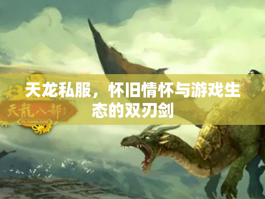 天龙私服，怀旧情怀与游戏生态的双刃剑