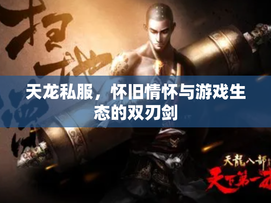 天龙私服，怀旧情怀与游戏生态的双刃剑
