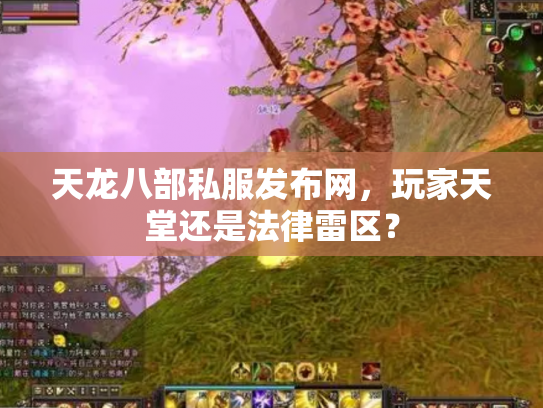 天龙八部私服发布网，玩家天堂还是法律雷区？