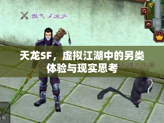 天龙SF，虚拟江湖中的另类体验与现实思考