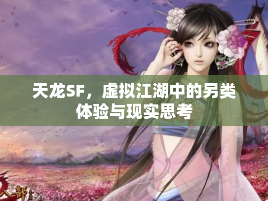 天龙SF，虚拟江湖中的另类体验与现实思考