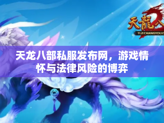 天龙八部私服发布网，游戏情怀与法律风险的博弈