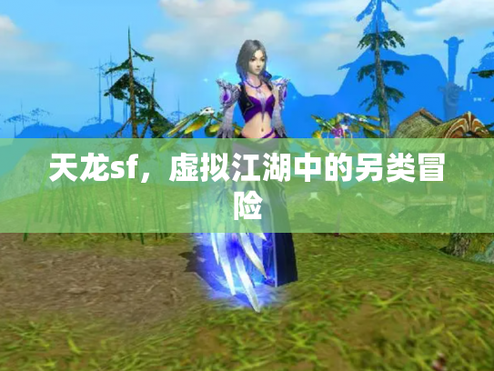 天龙sf，虚拟江湖中的另类冒险