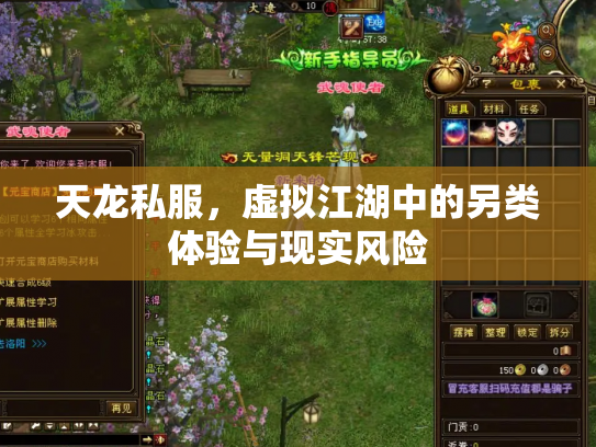 天龙私服，虚拟江湖中的另类体验与现实风险