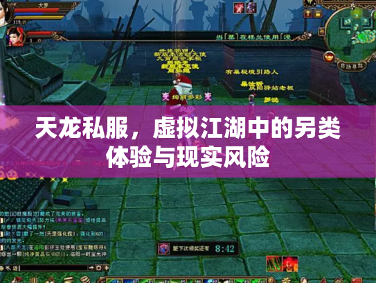 天龙私服，虚拟江湖中的另类体验与现实风险