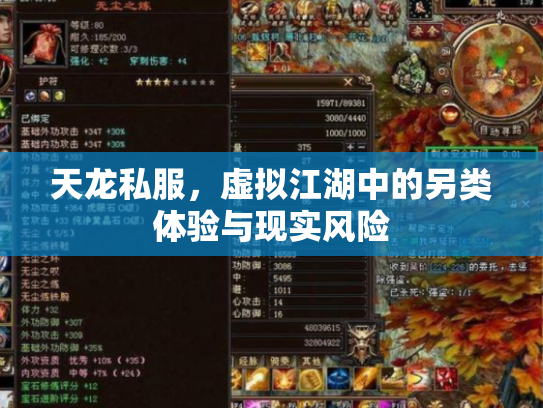 天龙私服，虚拟江湖中的另类体验与现实风险