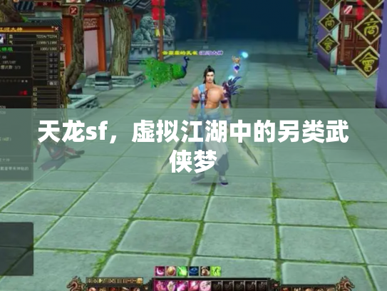 天龙sf，虚拟江湖中的另类武侠梦