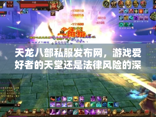 天龙八部私服发布网，游戏爱好者的天堂还是法律风险的深渊？
