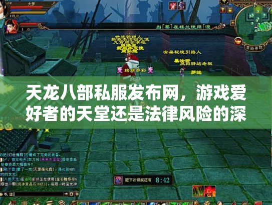 天龙八部私服发布网，游戏爱好者的天堂还是法律风险的深渊？