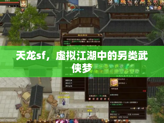 天龙sf，虚拟江湖中的另类武侠梦