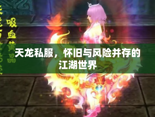 天龙私服，怀旧与风险并存的江湖世界