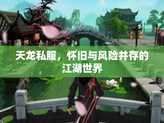 天龙私服，怀旧与风险并存的江湖世界