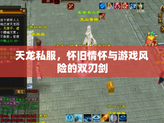 天龙私服，怀旧情怀与游戏风险的双刃剑