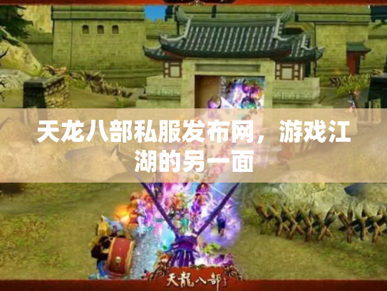 天龙八部私服发布网，游戏江湖的另一面