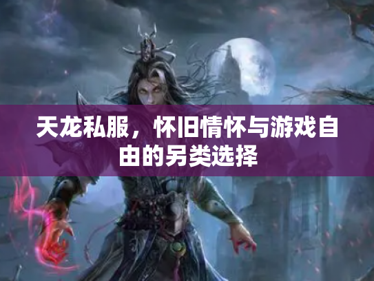 天龙私服，怀旧情怀与游戏自由的另类选择
