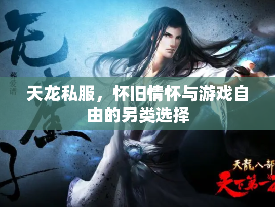 天龙私服，怀旧情怀与游戏自由的另类选择