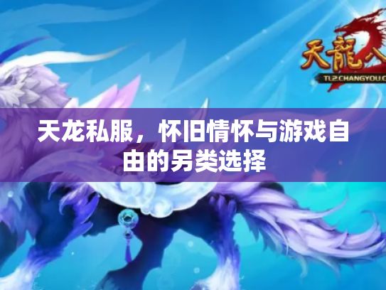 天龙私服，怀旧情怀与游戏自由的另类选择