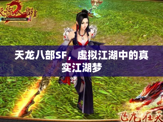 天龙八部SF，虚拟江湖中的真实江湖梦