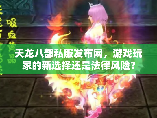 天龙八部私服发布网，游戏玩家的新选择还是法律风险？