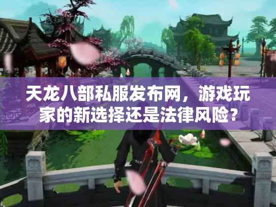 天龙八部私服发布网，游戏玩家的新选择还是法律风险？
