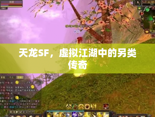 天龙SF，虚拟江湖中的另类传奇