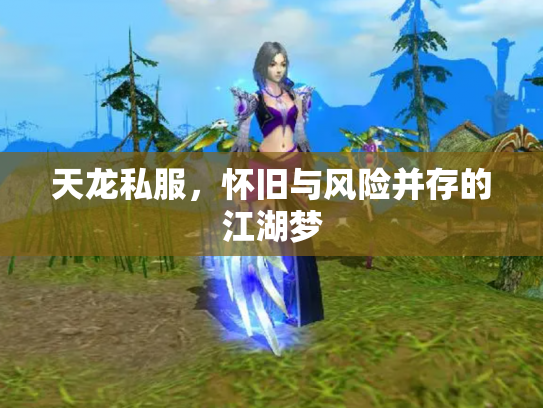 天龙私服，怀旧与风险并存的江湖梦
