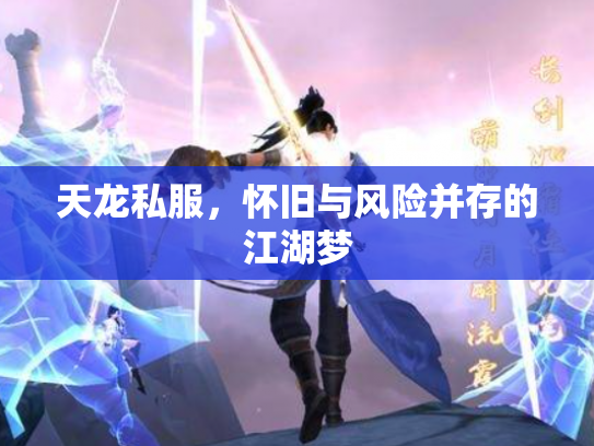 天龙私服，怀旧与风险并存的江湖梦