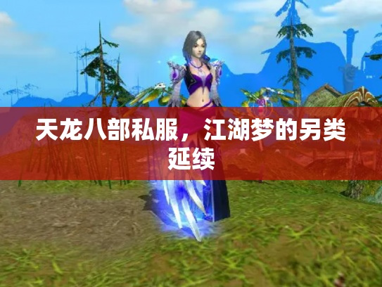 天龙八部私服，江湖梦的另类延续
