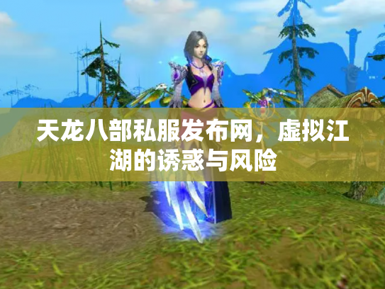 天龙八部私服发布网，虚拟江湖的诱惑与风险
