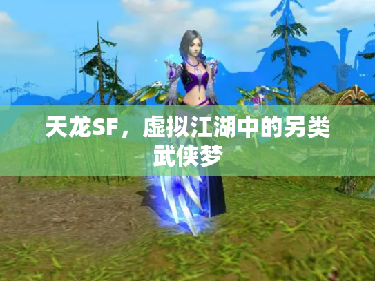 天龙SF，虚拟江湖中的另类武侠梦