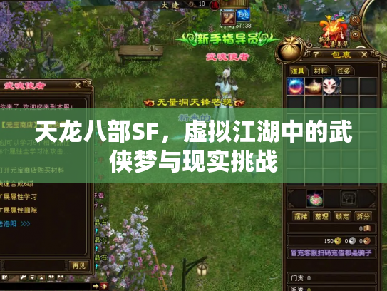 天龙八部SF，虚拟江湖中的武侠梦与现实挑战
