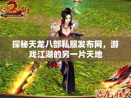 探秘天龙八部私服发布网，游戏江湖的另一片天地