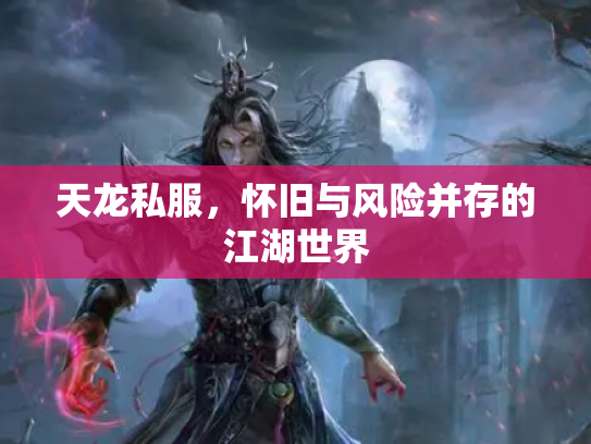 天龙私服，怀旧与风险并存的江湖世界