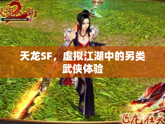 天龙SF，虚拟江湖中的另类武侠体验