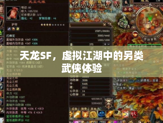 天龙SF，虚拟江湖中的另类武侠体验