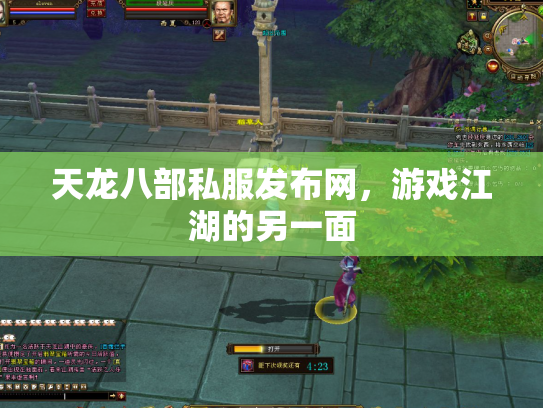 天龙八部私服发布网，游戏江湖的另一面